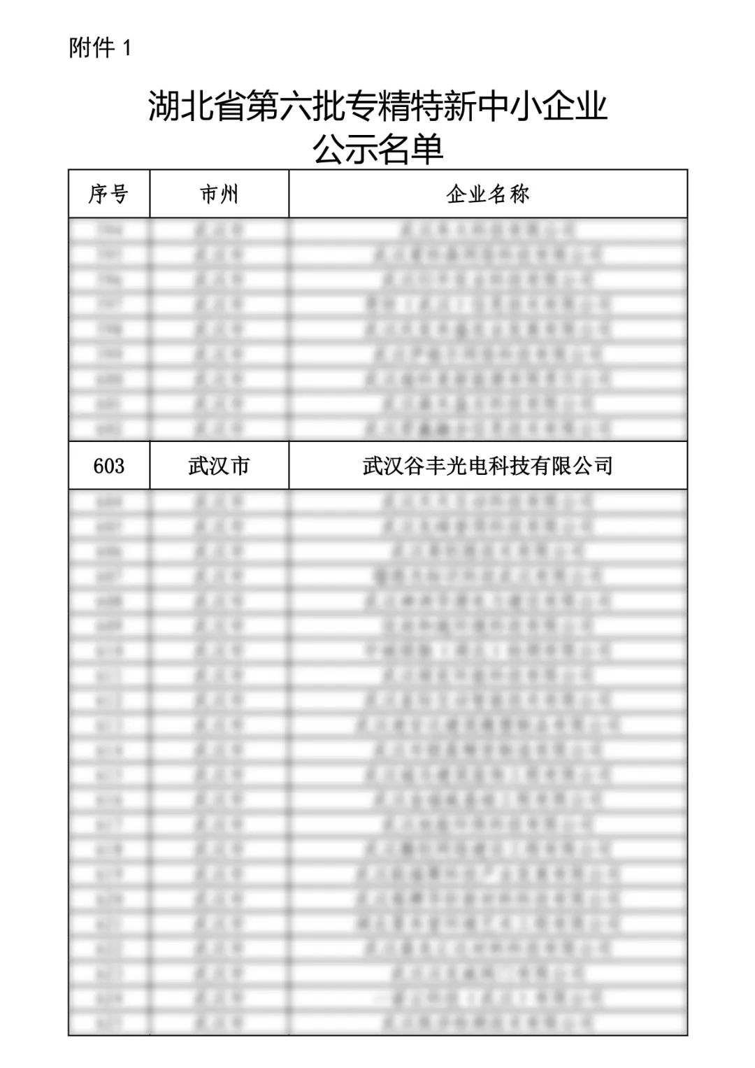 谷豐光電榮獲湖北省第六批專(zhuān)精特新中小企業(yè)認(rèn)定！